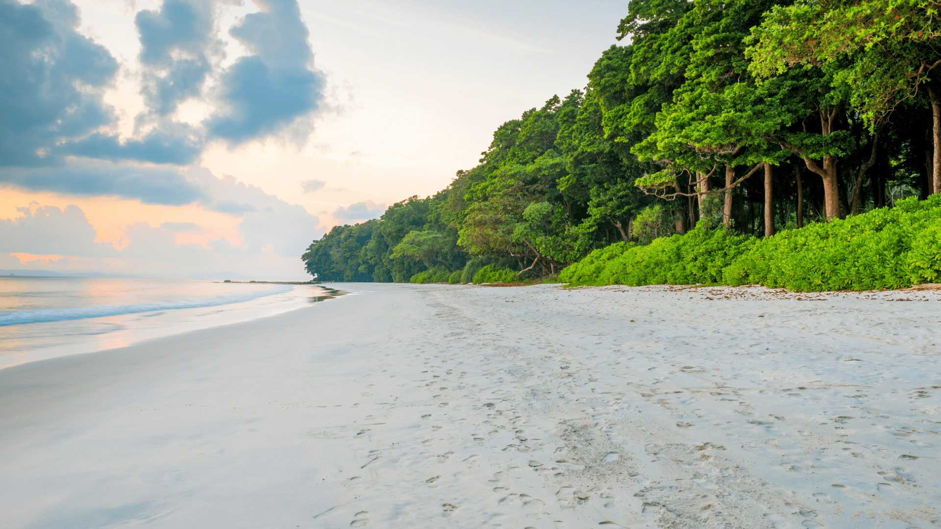 Radhanagar Beach