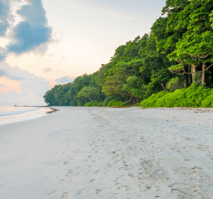 Radhanagar Beach